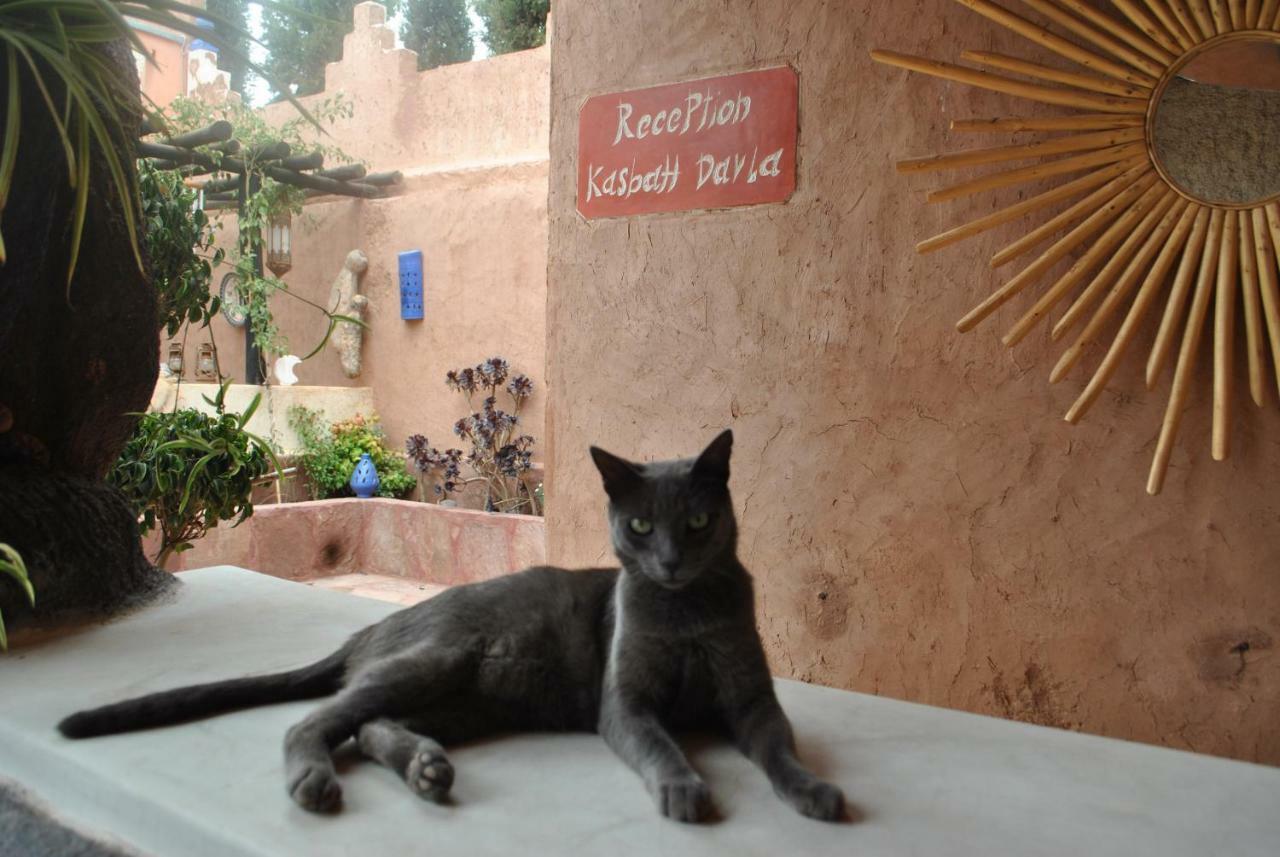 Auberge Kasbah Darla Tahanaout Dış mekan fotoğraf