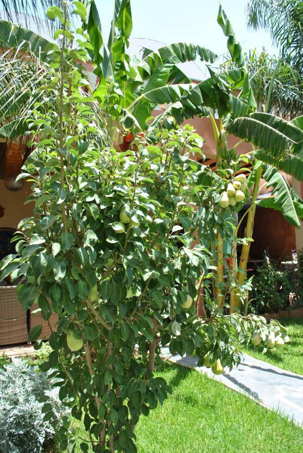 Auberge Kasbah Darla Tahanaout Dış mekan fotoğraf